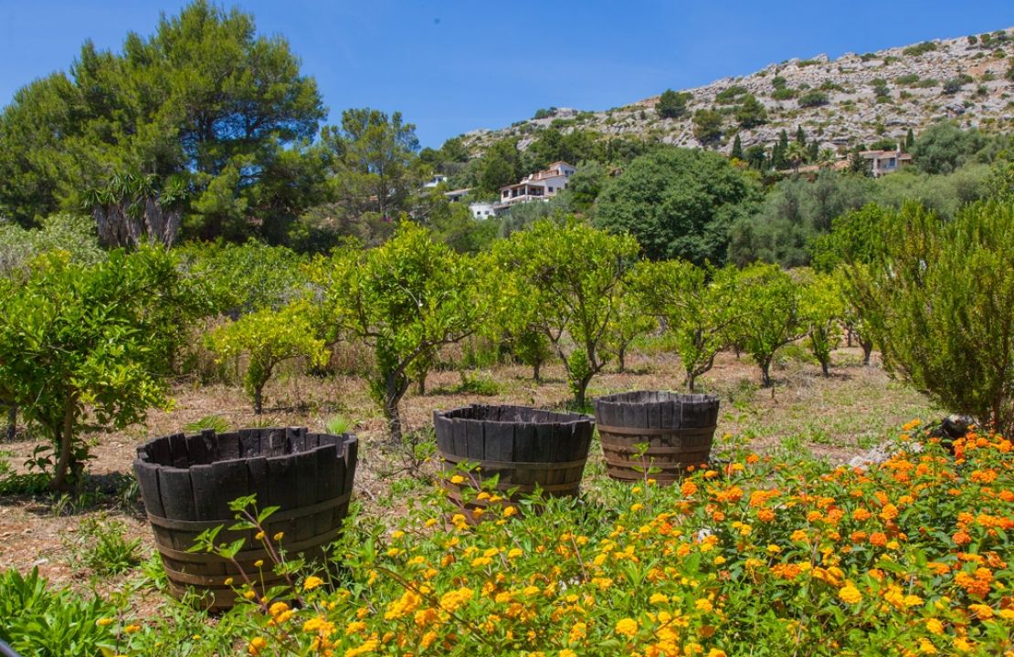 Country Estate for sale in a quiet urbanization with amazing gardens, 3 houses and 2 swimming pools