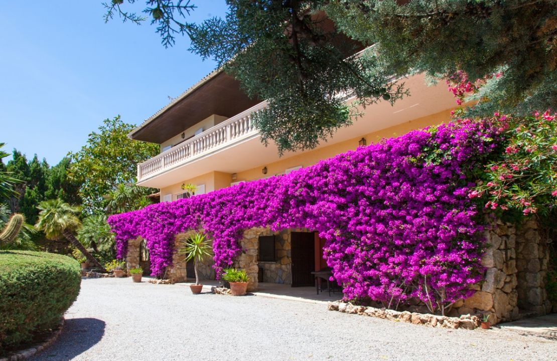 Country Estate for sale in a quiet urbanization with amazing gardens, 3 houses and 2 swimming pools