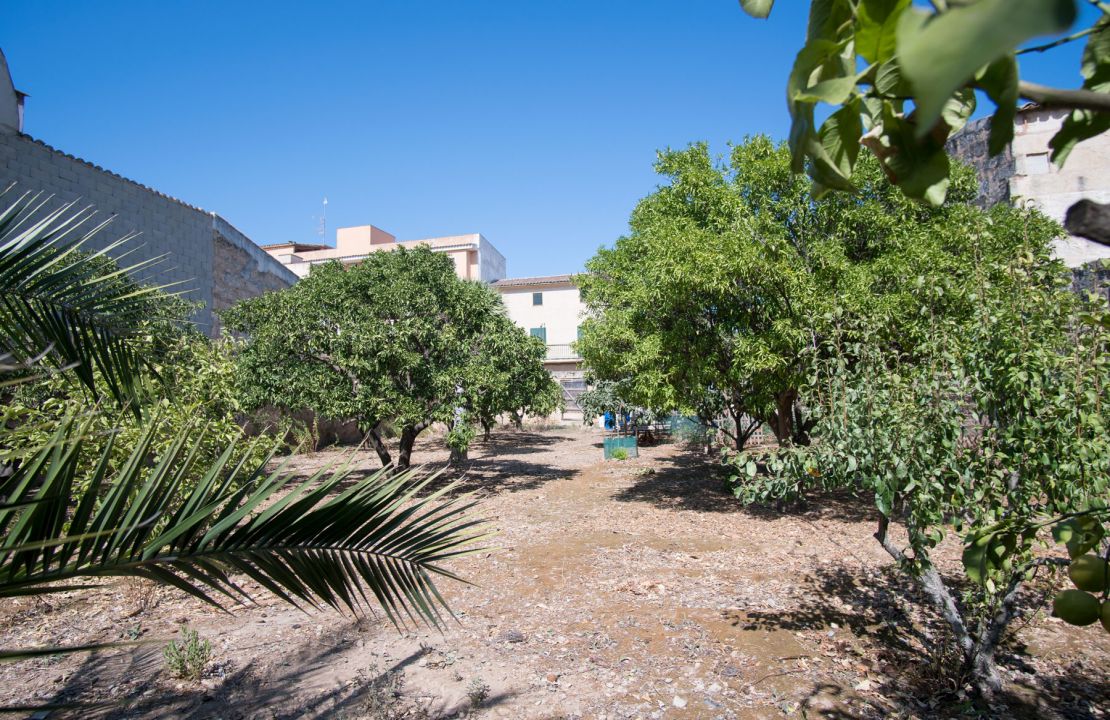 Plot for sale in Sa Pobla