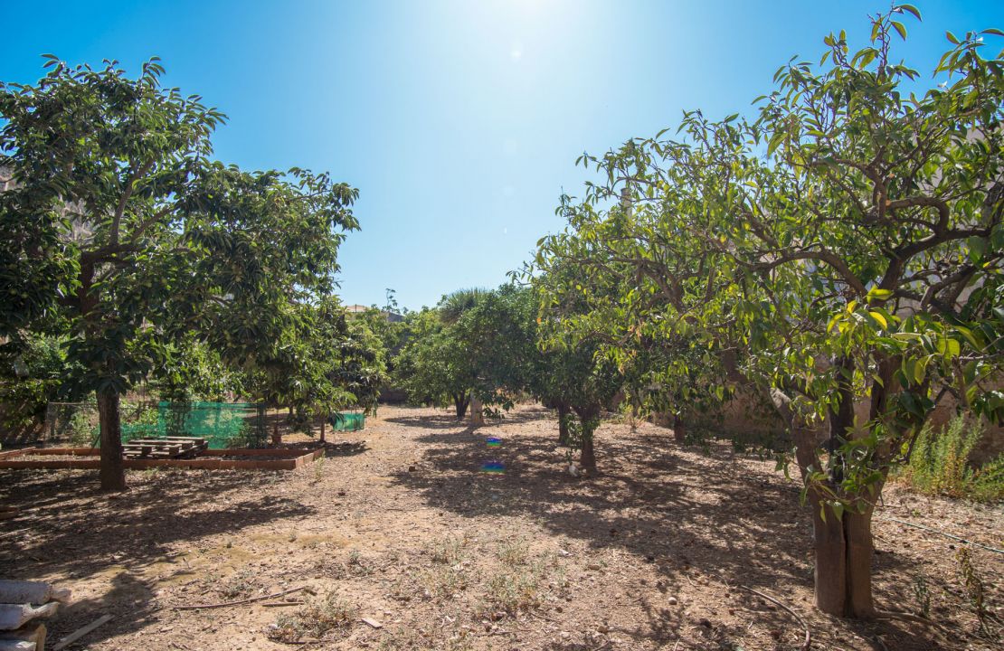 Plot for sale in Sa Pobla