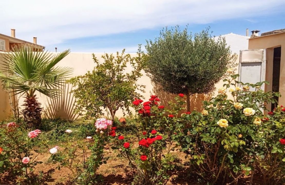 Second Sea line house for sale in Son Serra de Marina with sea views and a holiday rental license.