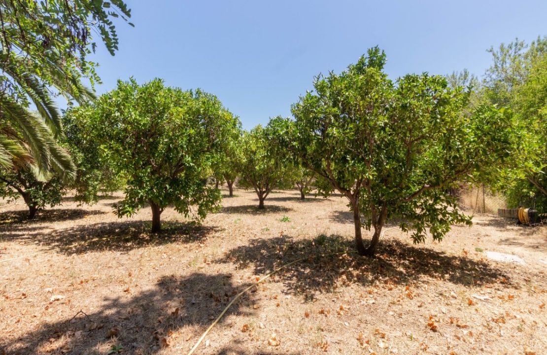 Finca aus dem 13. Jahrhundert in Campanet, Mallorca bestehend aus dem Herrenhaus und seinen vielfältigen Anbauten
