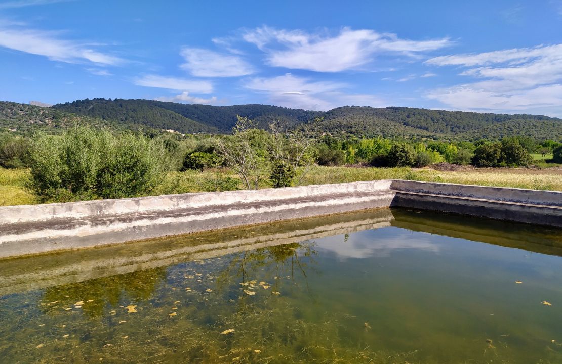 Plot for sale in Campanet