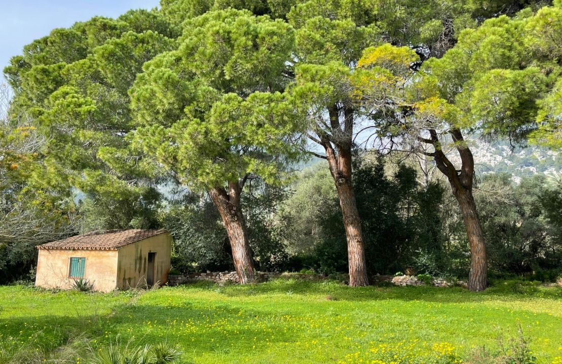 Finca for long term rental in Pollensa with pool and garden