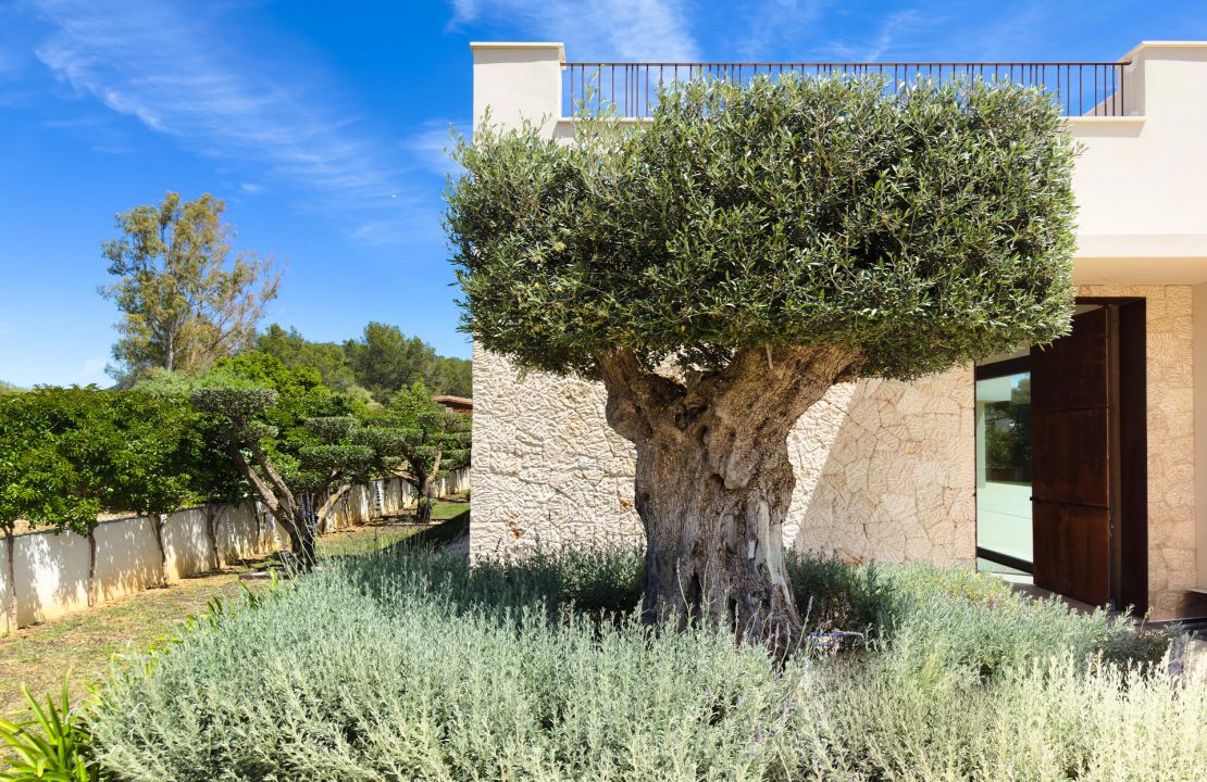 Charmante, moderne, neu gebaute Villa in Crestatx, Sa Pobla – Pool, Fußbodenheizung und Klimaanlage