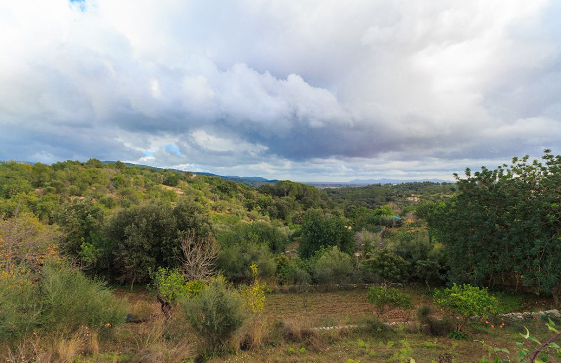 Campanet casa de pueblo con jardín en venta