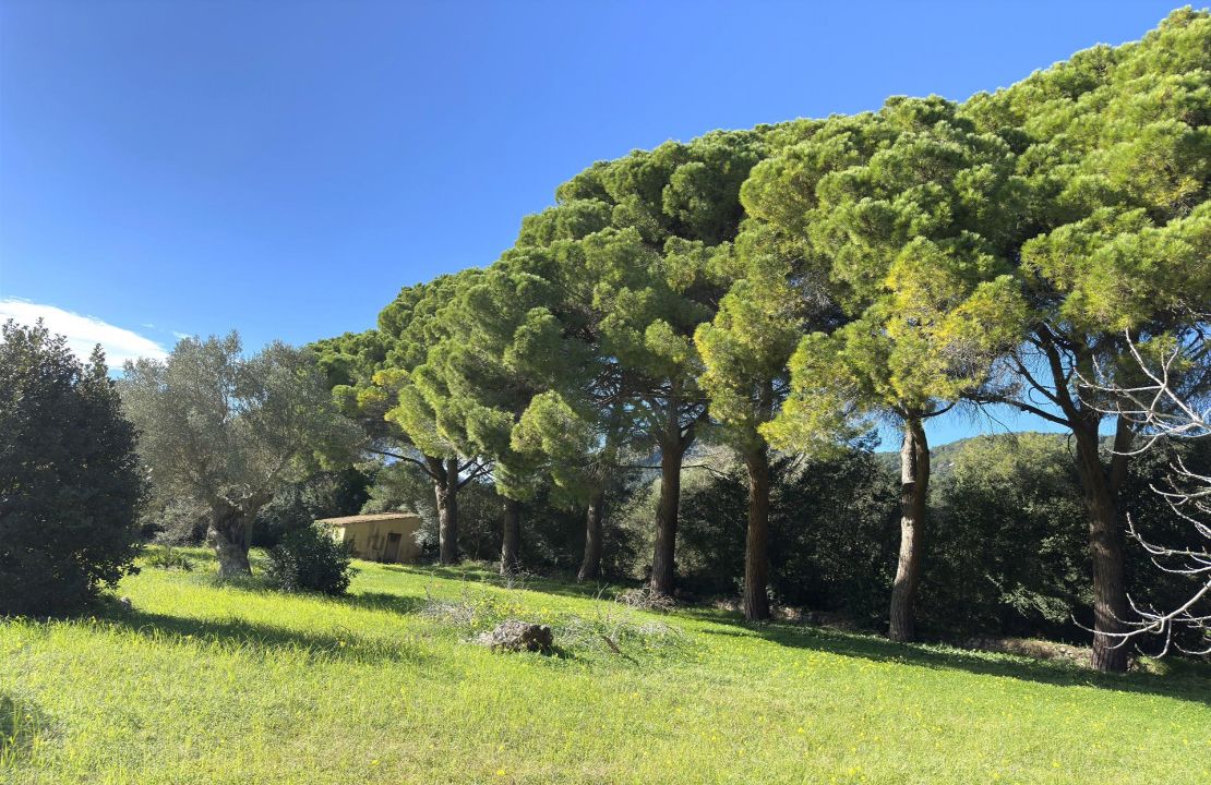Finca for long term rental in Pollensa with pool and garden
