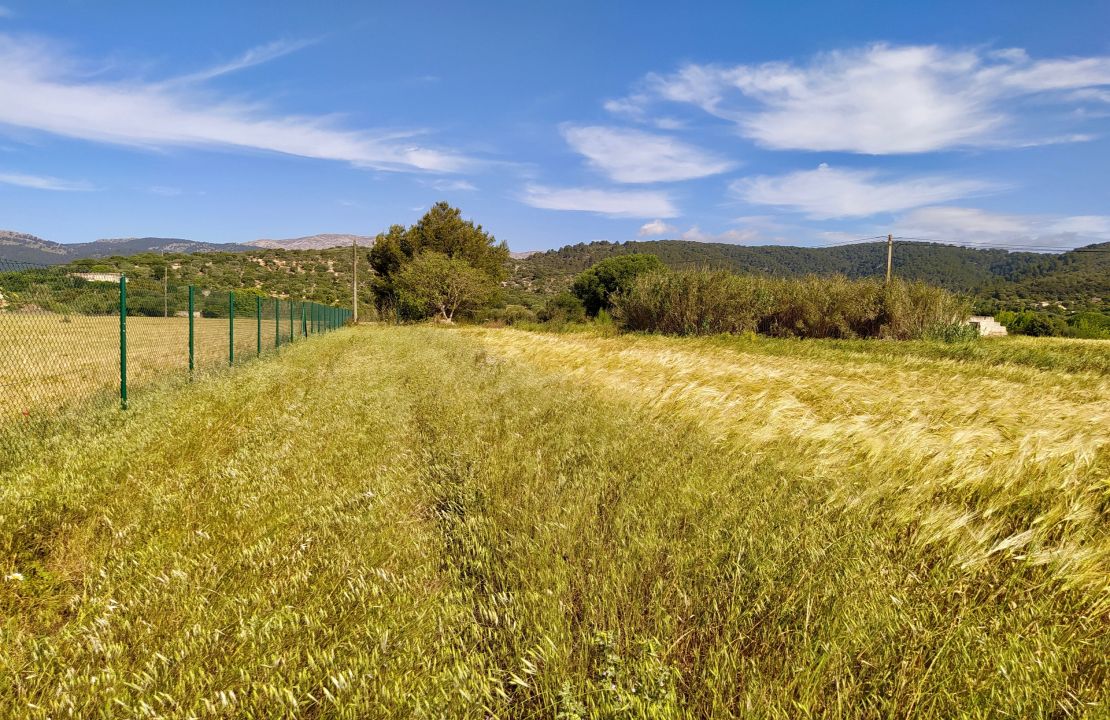 Plot for sale in Campanet