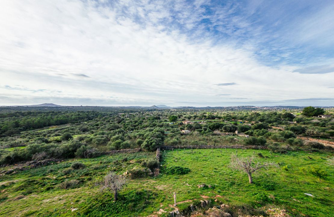 Land for Sale in Santa Margalida, Mallorca – Approved Basic Project
