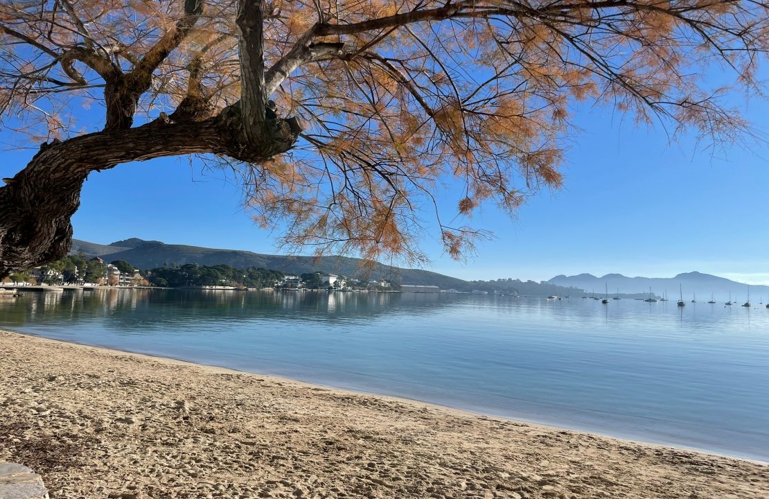 Modern Front Line Apartment for sale in Puerto Pollensa Mallorca